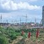 Компания из Челябинска будет застраивать зелёную зону в Академическом