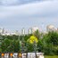 Сейчас лучшее за последние 20 лет время, чтобы сменить однушку на двушку или трёшку