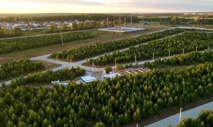 С днём семьи любви и верности. 11. 11. 08 07. 11.