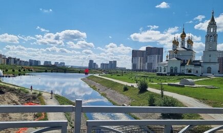 Двойной стандарт Академа