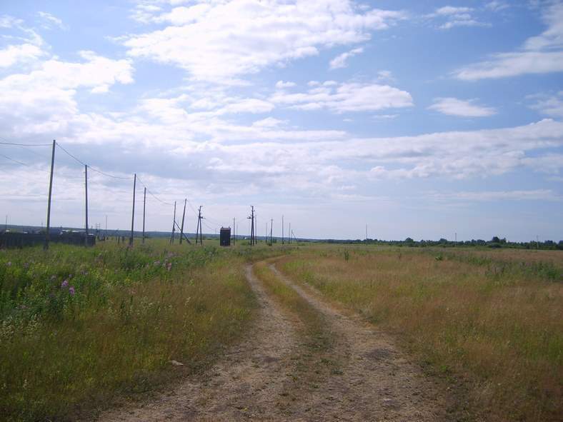 с. Клеопино (Каслинский район) - фото земельного участка (8)