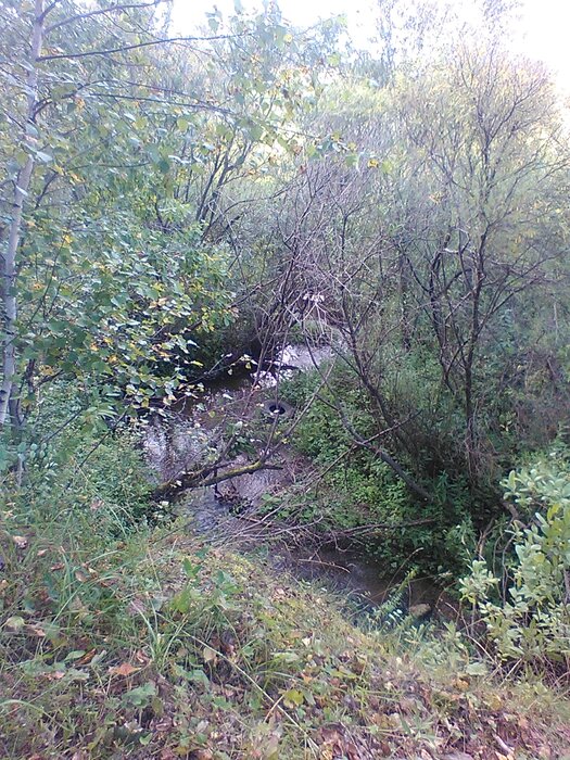 с. Логиново, ул. Победы (городской округ Белоярский) - фото земельного участка (2)