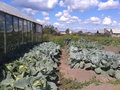 Продажа дома: г. Верхний Тагил, ул. Ленина, 60 (городской округ Верхний Тагил) - Фото 1