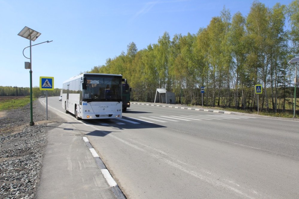 с. Мезенское, ул. Трактовая, 3 (городской округ Заречный) - фото земельного участка (5)