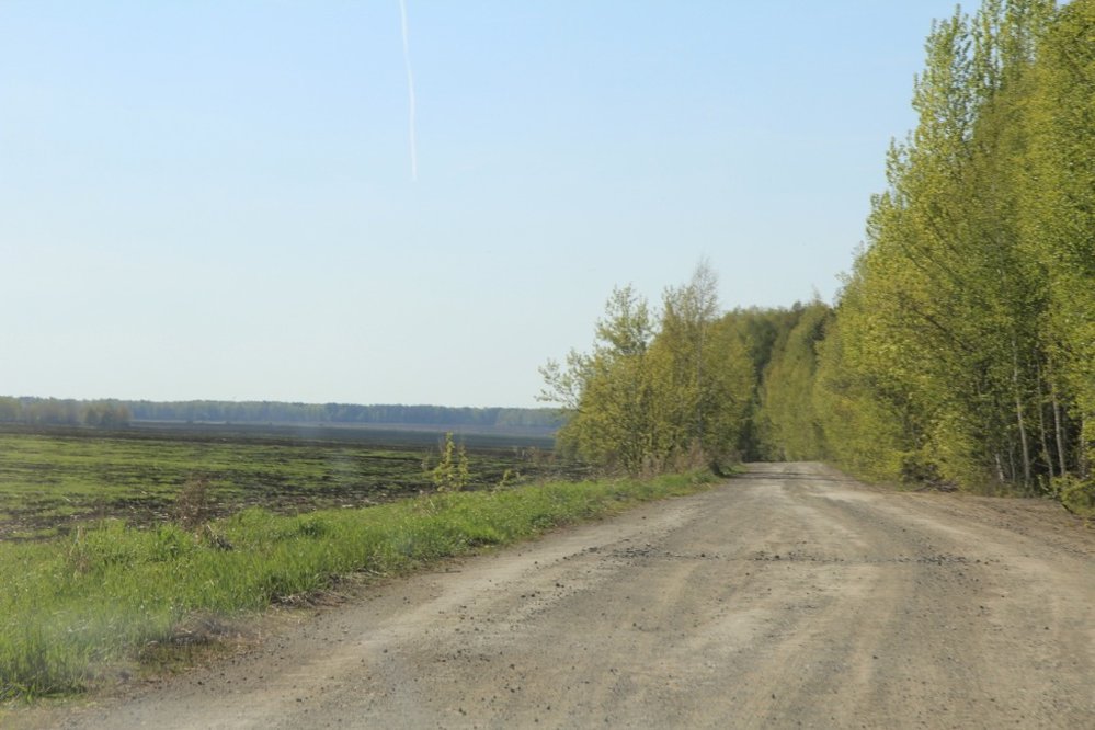 с. Мезенское (городской округ Заречный) - фото земельного участка (2)