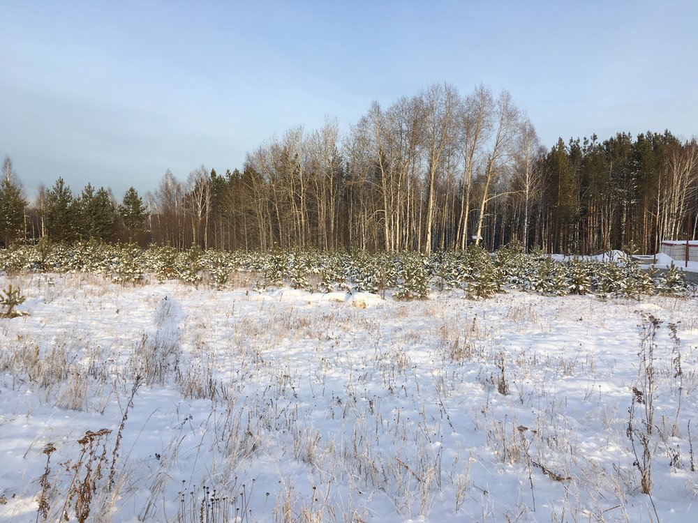 п. Становая (городской округ Березовский) - фото земельного участка (1)