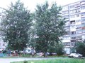 Продажа квартиры: Екатеринбург, ул. Билимбаевская, 33 (Старая Сортировка) - Фото 1