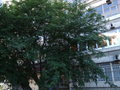 Продажа квартиры: Екатеринбург, ул. Денисова-Уральского, 5 (Юго-Западный) - Фото 1