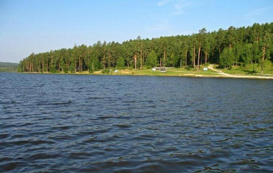 г. Дегтярск, ул. Шуры Екимовой, 114 (городской округ Город Дегтярск) - фото земельного участка (2)