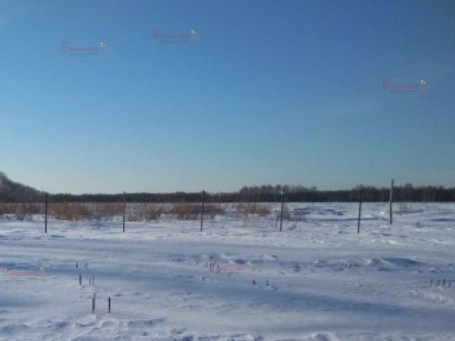 р.п. Верхнее Дуброво (городской округ Верхнее Дуброво) - фото земельного участка (4)