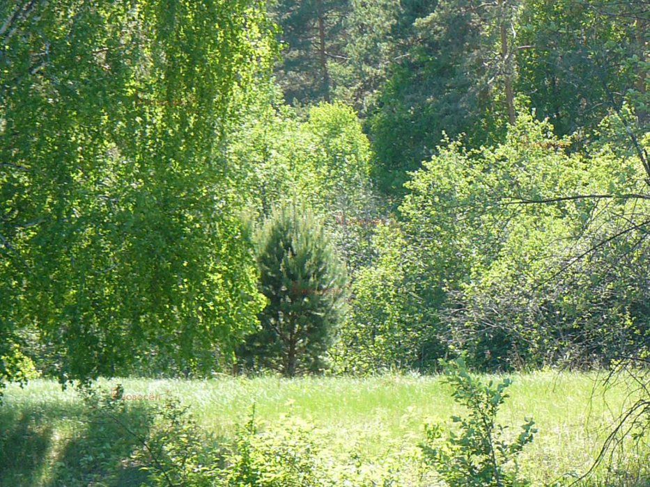 р.п. Верхнее Дуброво (городской округ Верхнее Дуброво) - фото земельного участка (5)