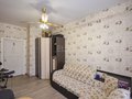 Екатеринбург, ул. Заводская, 32 к 1 (ВИЗ) - фото квартиры