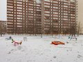 Продажа квартиры: Екатеринбург, ул. Черепанова, 6 (Заречный) - Фото 1