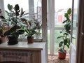 Продажа квартиры: Екатеринбург, ул. Космонавтов, 25а (Уралмаш) - Фото 1