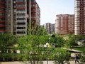 Продажа квартиры: Екатеринбург, ул. Академика Шварца, 12 к 1 (Ботанический) - Фото 1