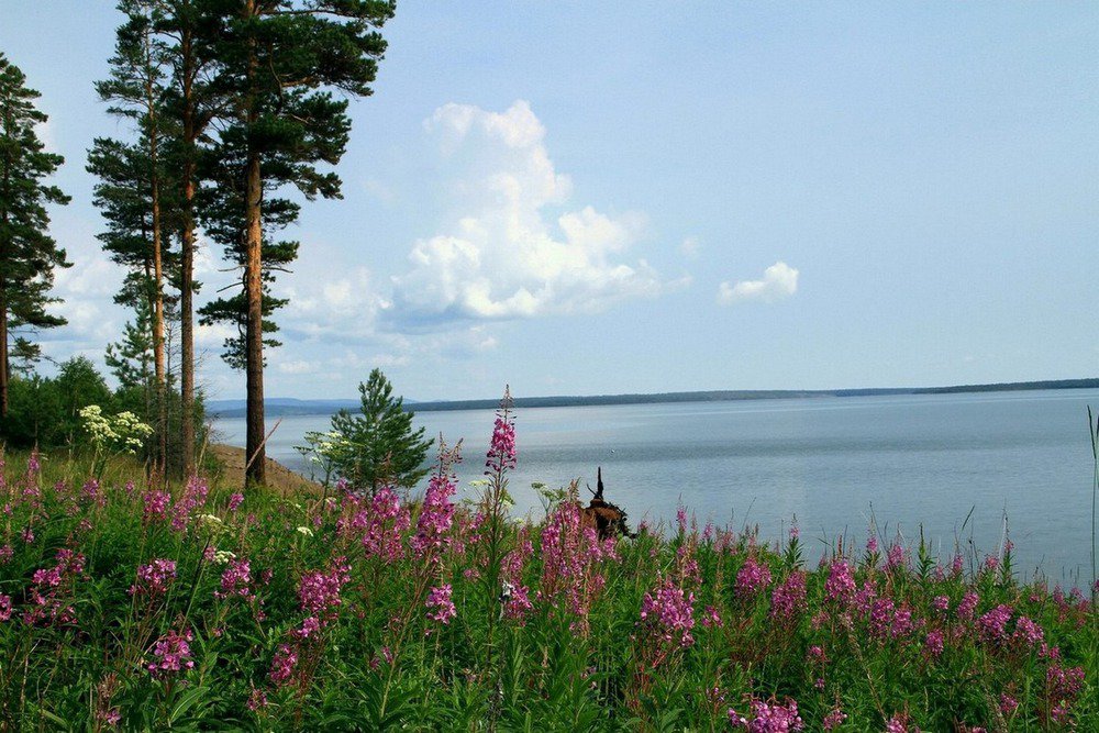 п. Калиново, СНТ Заря-2 (городской округ Невьянский) - фото сада (1)