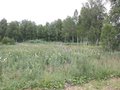 Продажа земельного участка: к.п. Заповедник (городской округ Сысертский, с. Кашино) - Фото 1