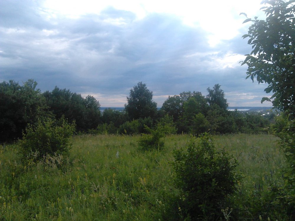 п. Калиново, СНТ Заря-2 (городской округ Невьянский) - фото сада (1)