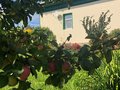 поселок городского типа Верхние Серги, ул. Азина, 4 (городское поселение Верхнесергинское) - фото дома