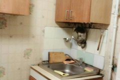 Екатеринбург, ул. Начдива Онуфриева, 28 (Юго-Западный) - фото квартиры