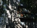 Екатеринбург, ул. Бажова, 76а (Центр) - фото квартиры