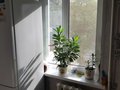 Продажа квартиры: Екатеринбург, ул. Таватуйская, 5 (Старая Сортировка) - Фото 1