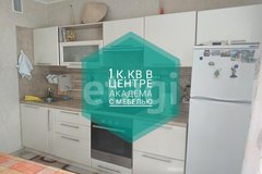 Екатеринбург, ул. Вильгельма де Геннина, 43 (Академический) - фото квартиры