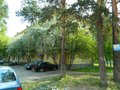 Екатеринбург, ул. Симферопольская, 27 - фото квартиры