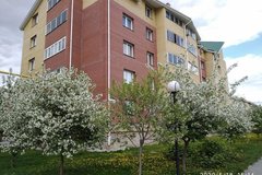 Екатеринбург, ул. Барвинка, 20 (УНЦ) - фото квартиры