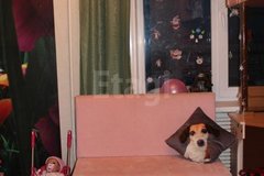 Екатеринбург, ул. Начдива Онуфриева, 16 (Юго-Западный) - фото квартиры