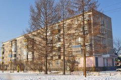 Екатеринбург, ул. Колхозников, 48 (Елизавет) - фото квартиры