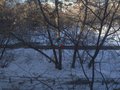 Екатеринбург, ул. улица Цвиллинга, 48 (Автовокзал) - фото квартиры