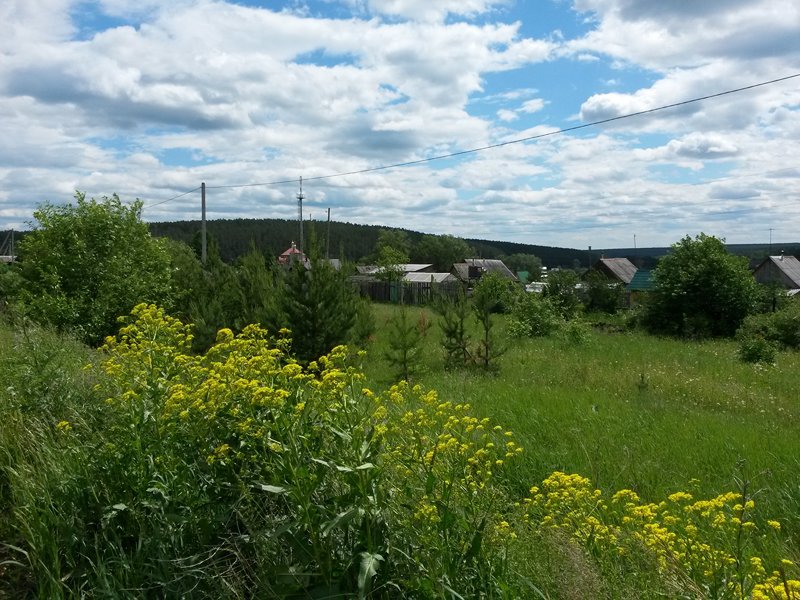 п. Колюткино, ул. Володарского, 6А (городской округ Белоярский) - фото земельного участка (2)