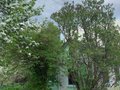 Продажа садового участка: Екатеринбург, СНТ Карасики - Фото 1