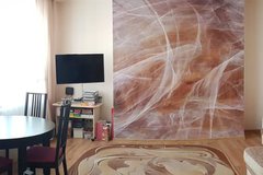 Екатеринбург, ул. Павла Шаманова, 44 (Академический) - фото квартиры