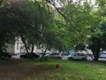 Екатеринбург, ул. Благодатская, 57 (Уктус) - фото комнаты