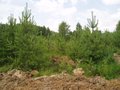 Продажа земельного участка: п. Залесье (городской округ Верхняя Пышма) - Фото 1