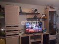 Продажа квартиры: Екатеринбург, ул. Победы, 28 (Уралмаш) - Фото 1