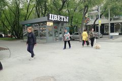 Екатеринбург, ул. Малышева, 79 - фото торговой площади