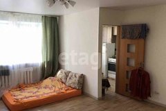 Екатеринбург, ул. Хомякова, 20 (ВИЗ) - фото квартиры