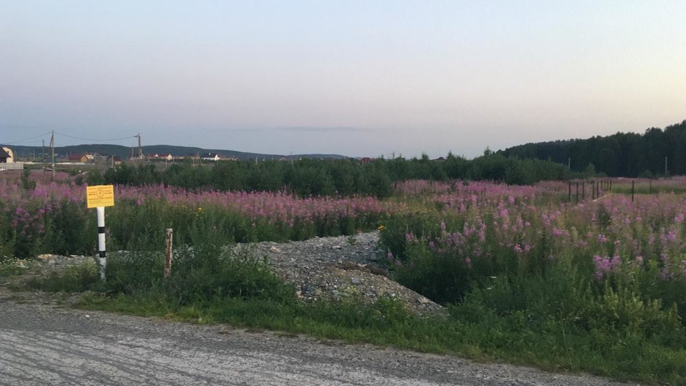 к.п. Солнечный (городской округ Полевской, с. Курганово) - фото земельного участка (1)