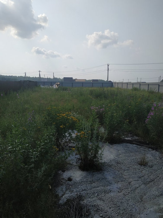 г. Березовский, ДНТ Станица, 3-2 (городской округ Березовский) - фото земельного участка (1)