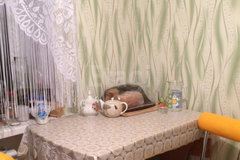 г. Среднеуральск, ул. Калинина, 15а (городской округ Среднеуральск) - фото квартиры