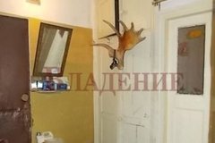 г. Нижний Тагил, ул. Пархоменко, 139 (городской округ Город Нижний Тагил) - фото квартиры