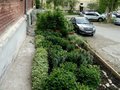 Продажа квартиры: Екатеринбург, ул. Коллективный, 3 (Вторчермет) - Фото 1