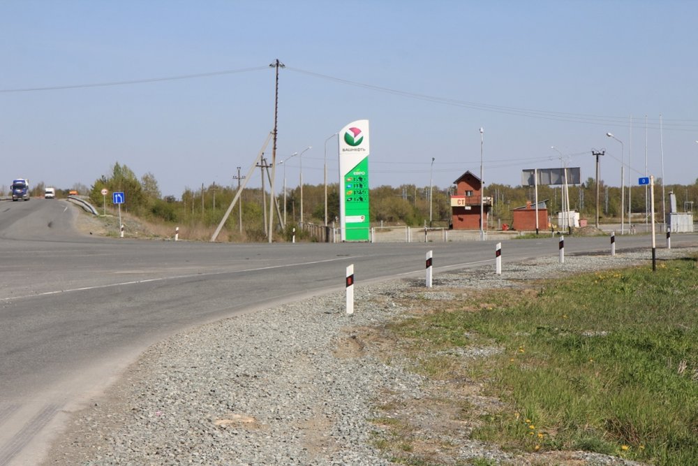 с. Мезенское (городской округ Заречный) - фото земельного участка (1)