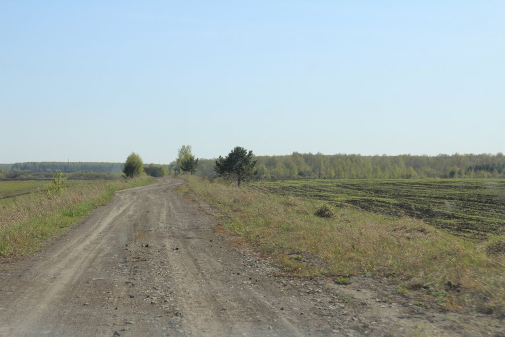 с. Мезенское (городской округ Заречный) - фото земельного участка (6)