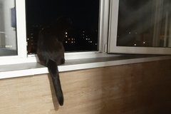 Екатеринбург, ул. Седова, 23 (Новая Сортировка) - фото квартиры