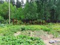 Продажа садового участка: с. Николо-Павловское, КС Лесной-2 (городской округ Горноуральский) - Фото 7