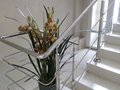 Аренда офиса: Екатеринбург, ул. Краснолесья, 30 - Фото 1